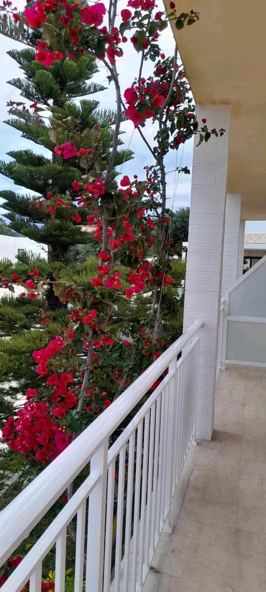 Angelos Apartment'S 阿里拉斯 外观 照片